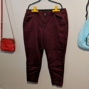 Lane Bryant Super Skinny Stretch Jeans